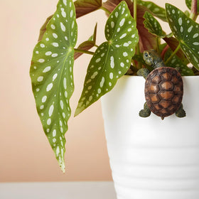 Yolev turtle ornament for balcony brings casual charm to small spaces.
