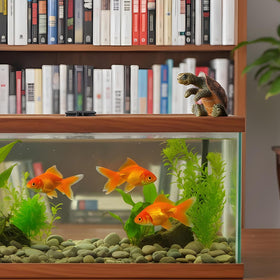 Yolev turtle pot hugger decor enhances plant displays with playful climbing pose.