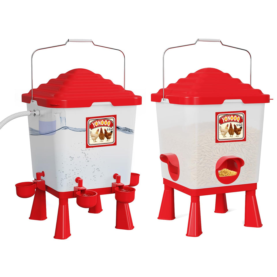 YONOOQ 5-gallon waterer with automatic float valve provides steady hydration for poultry.