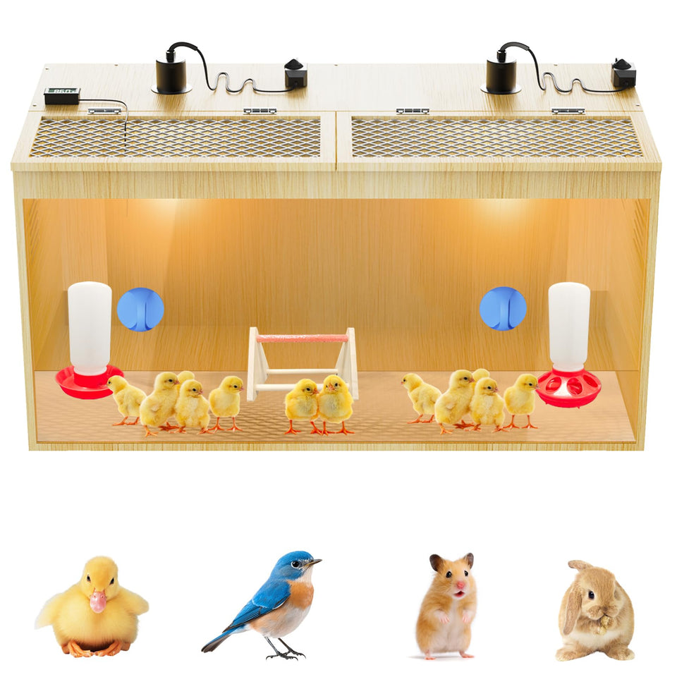 YonooQ Brooder Box 32-inch overview showing spacious chick housing