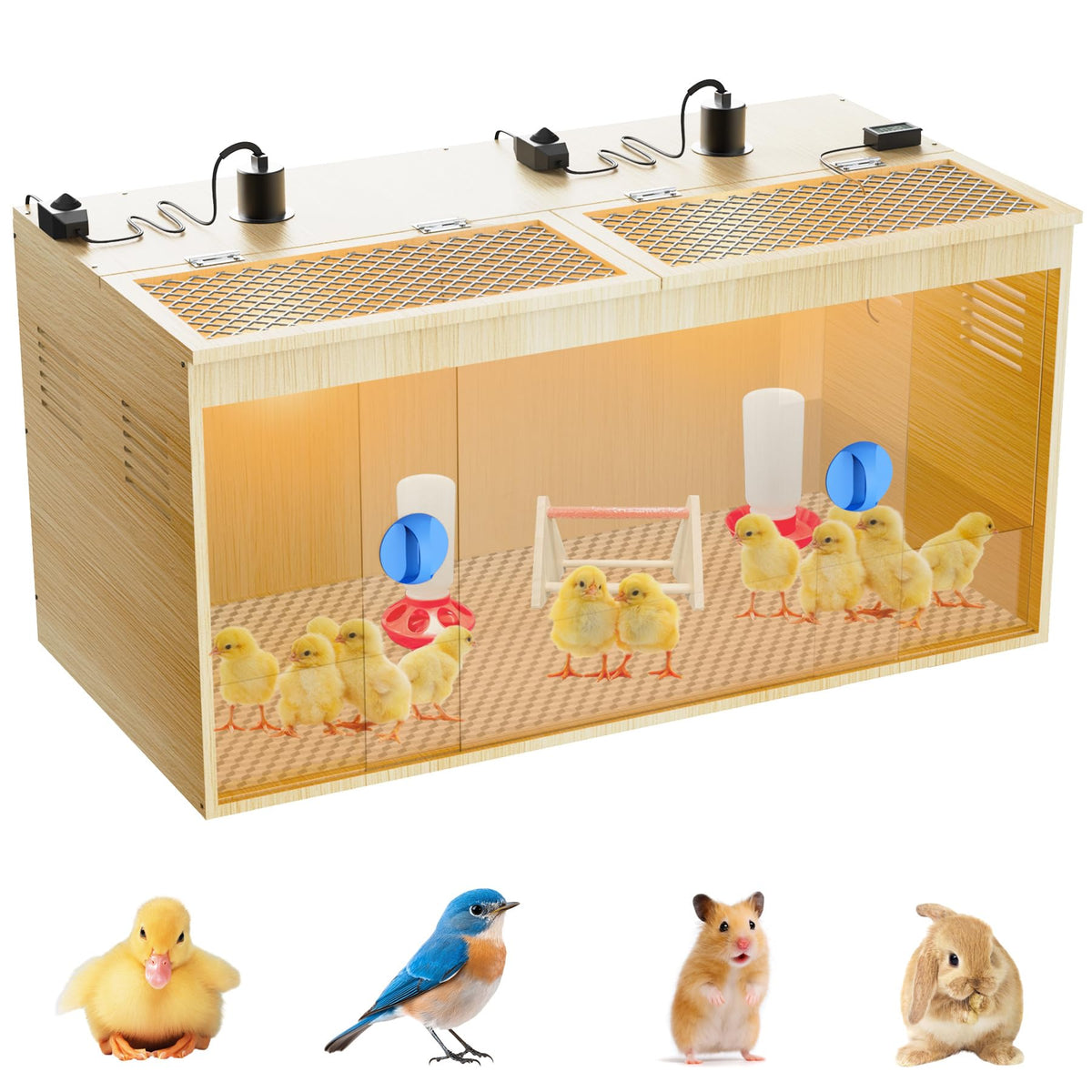 YonooQ Brooder with 75W lamps setup for adjustable heat