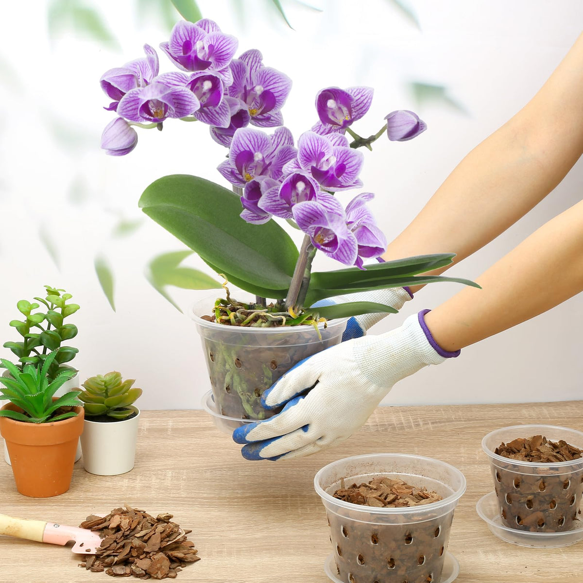 YOPIKUU 8-pack 4inch pots fit many orchid varieties