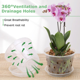 YOPIKUU orchid pot on a bright windowsill enhances display and light.
