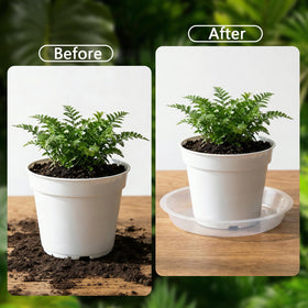 YOPIKUU plant saucer 11-inch clear; protective base for patios and balconies.