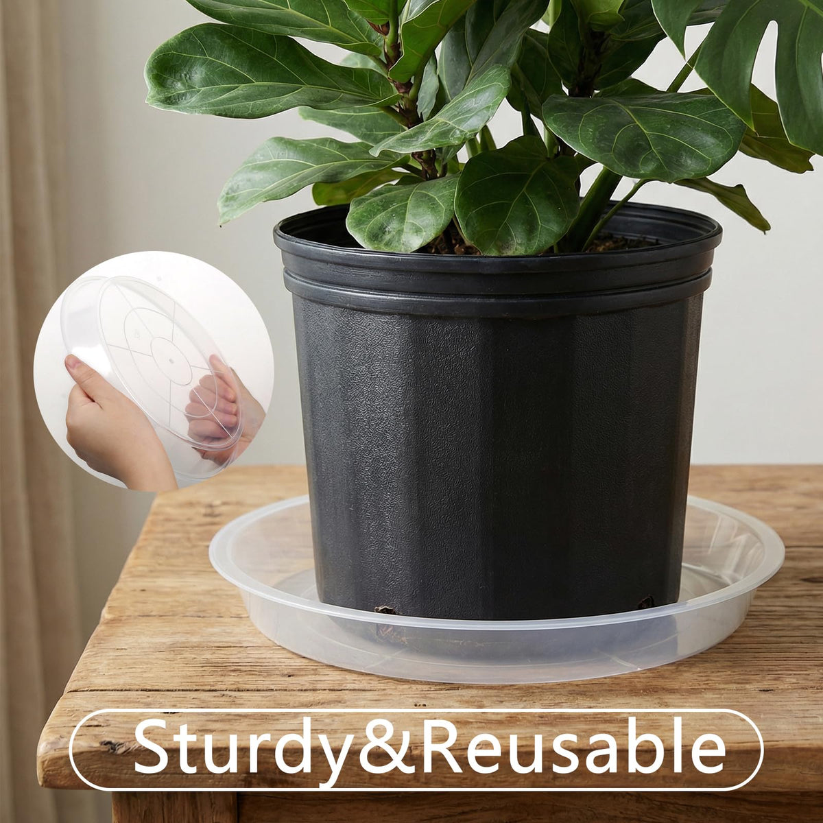 YOPIKUU plant saucer 13-inch clear; sturdy, weather-resistant water tray.