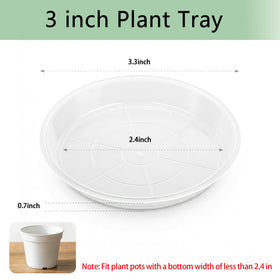 YOPIKUU plant saucer 5-inch clear; catches excess water while staying discreet.