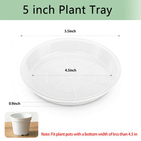 YOPIKUU 5-inch clear saucer, ideal for monitoring water without lifting pots.
