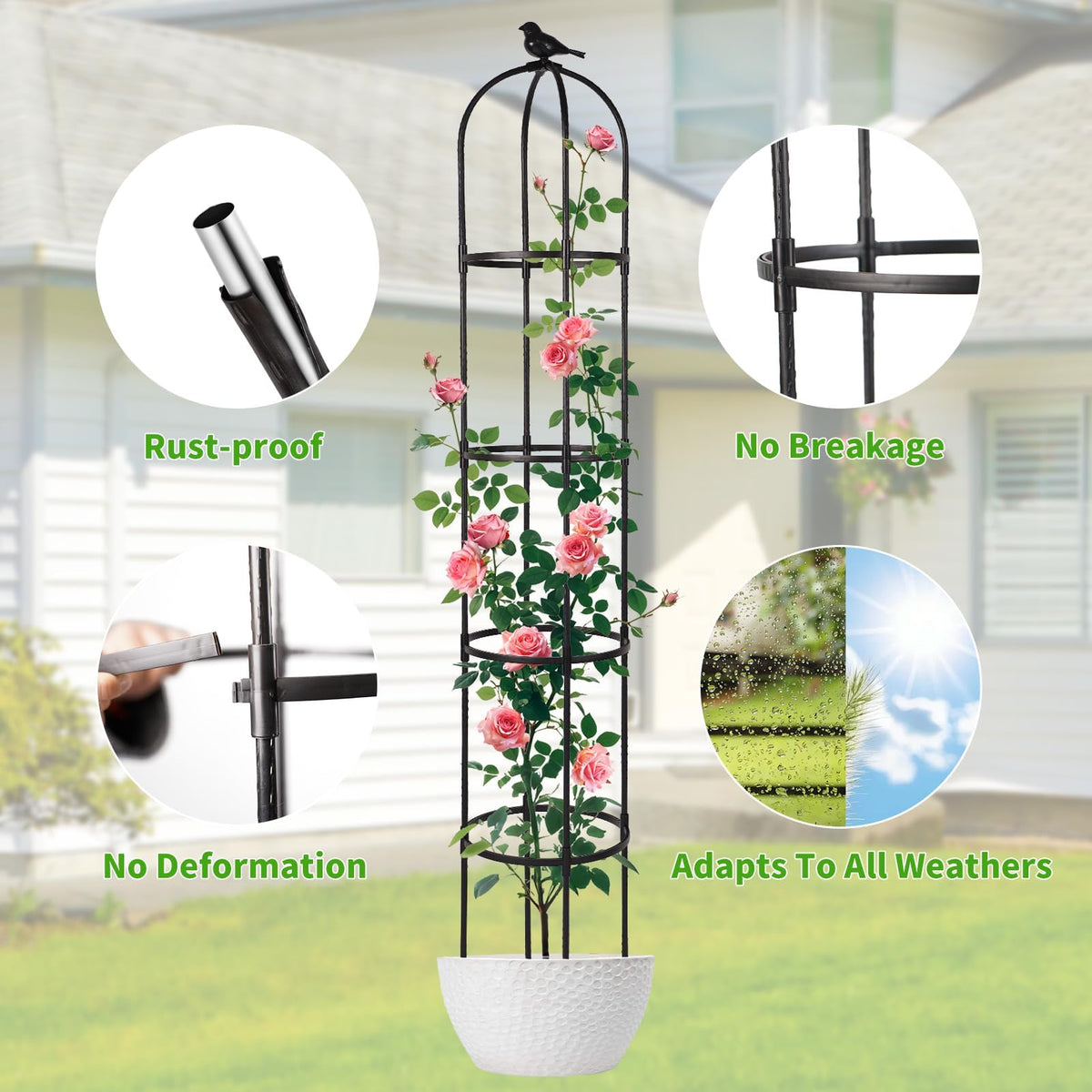 Yotoworth Garden Obelisk Trellis enhances a potted plant display with vertical support.