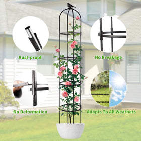 Yotoworth Garden Obelisk Trellis enhances a potted plant display with vertical support.