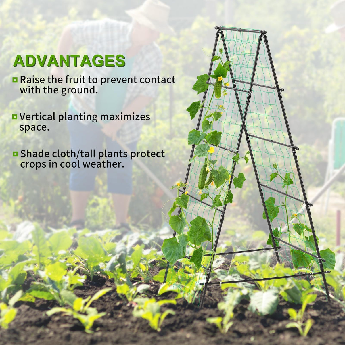 Yotoworth garden trellis clip and anchors secure the structure