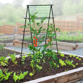 Yotoworth garden trellis netting detail aids fruit and vegetable growth