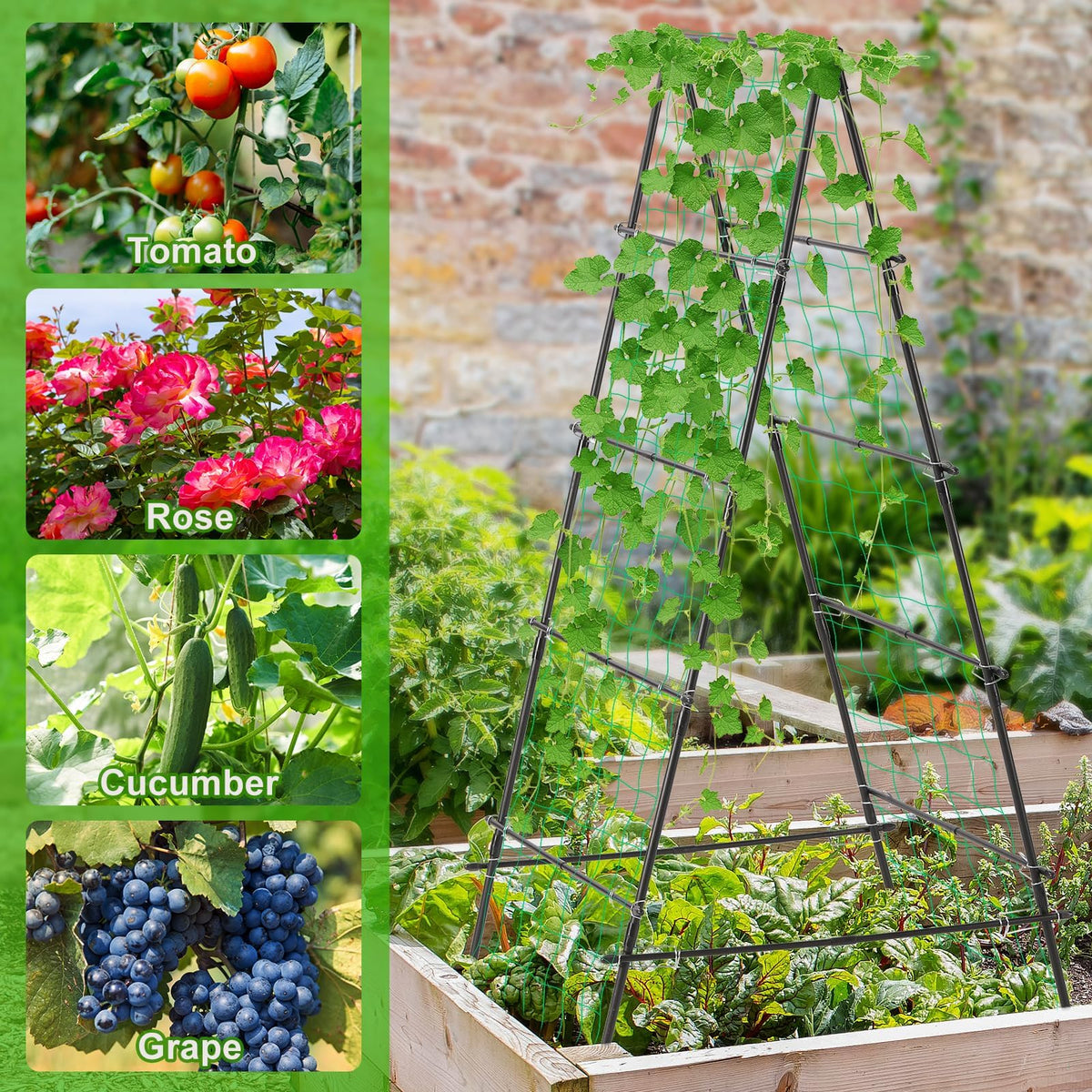 Yotoworth garden trellis sturdy frame anchors securely into soil