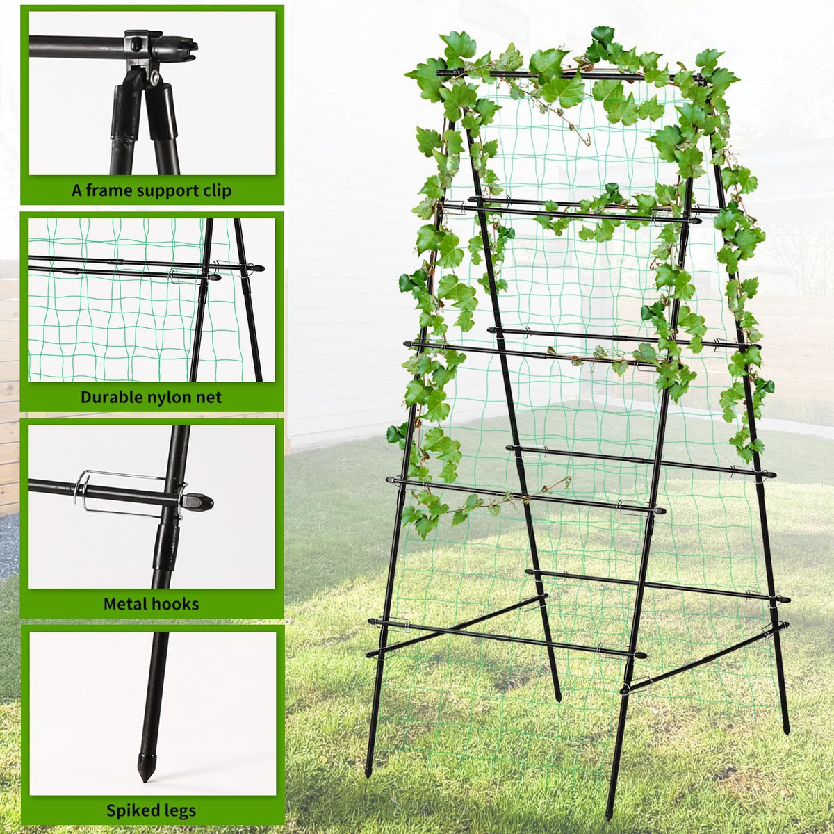 Yotoworth garden trellis vegetable climbing supports beans and squash