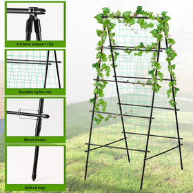 Yotoworth garden trellis vegetable climbing supports beans and squash