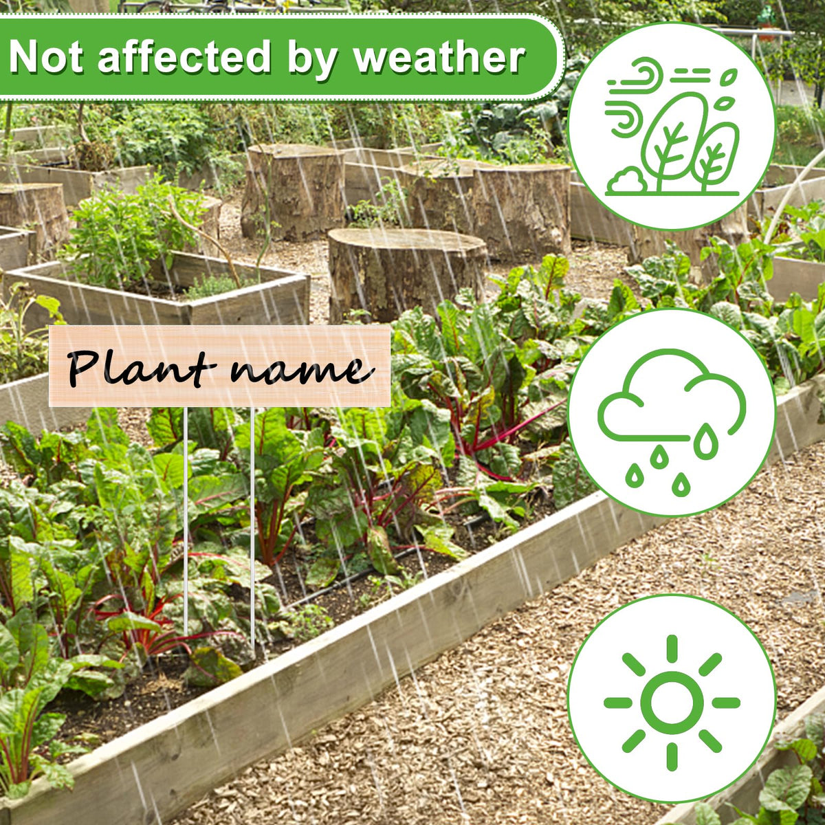 Youdaju set includes twenty jumbo labels and two markers for larger gardens.