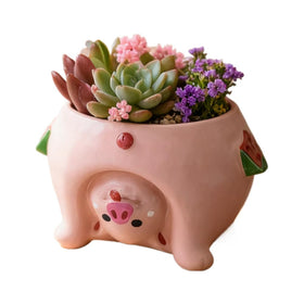 Youfui fairy garden pig planter adds whimsy to any space.
