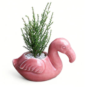 Youfui flamingo planter small pot perfect for mini succulents on desks