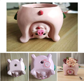 Youfui pig planter makes a charming gift idea for plant lovers.
