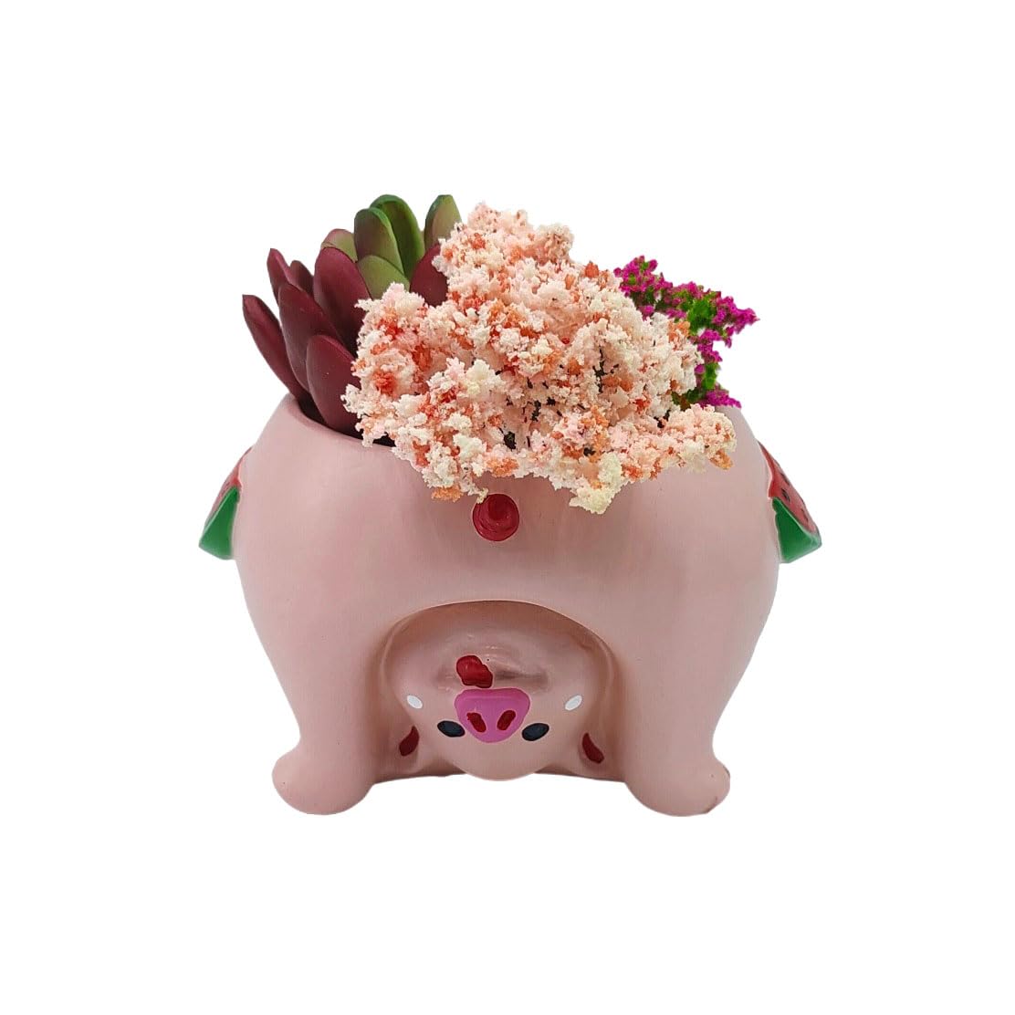 Youfui pig planter pot, front view, drainage hole supports healthy small plants.