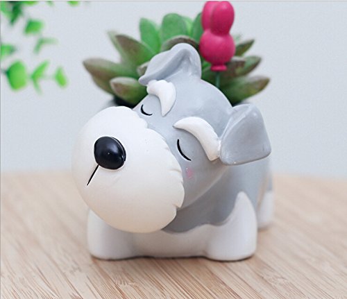 Youfui Schnauzer planter bottom drainage hole keeps soil tidy