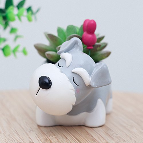 Youfui Schnauzer planter as desk organizer for clips and small items