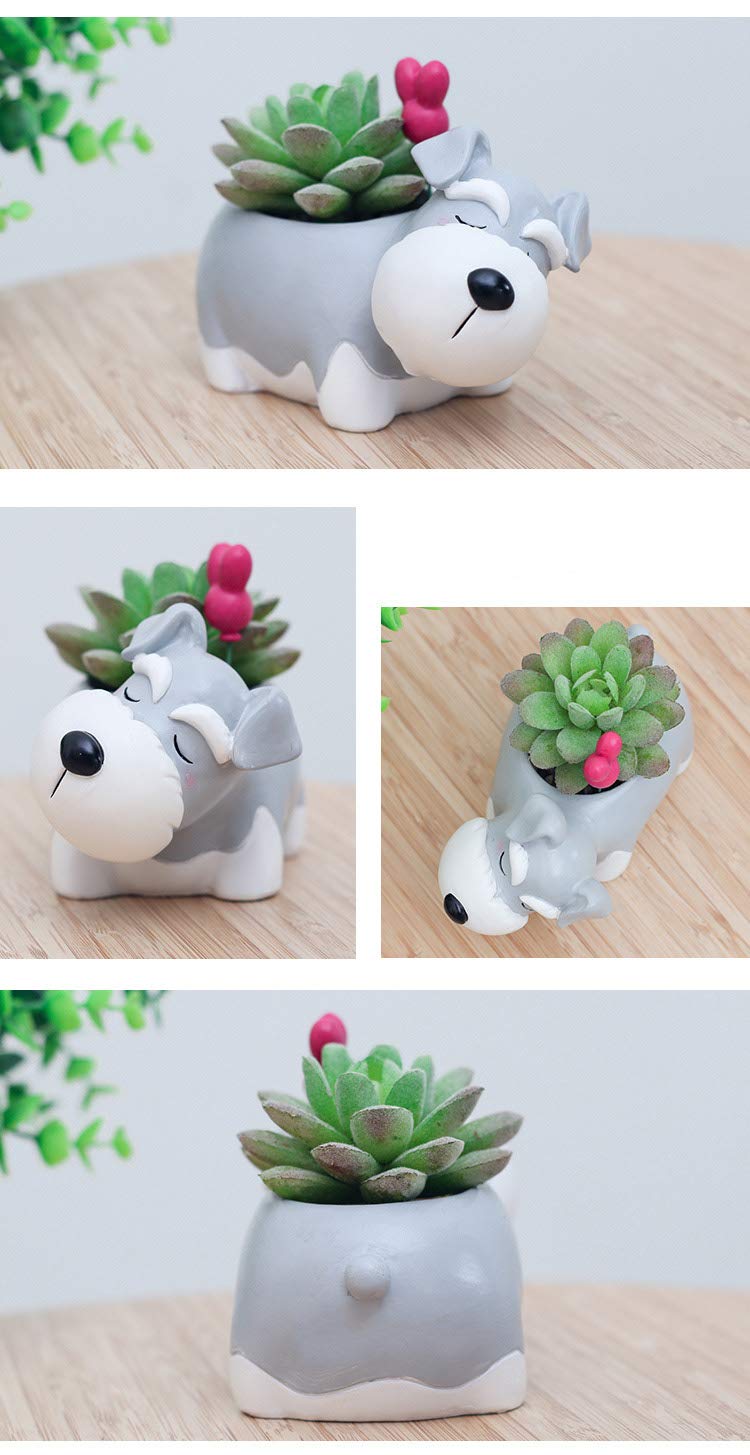 Youfui Schnauzer planter gift ready packaging for plant lovers