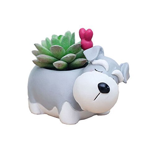 Youfui Schnauzer planter side view space saving desk accessory for small plants