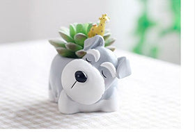 Youfui Schnauzer planter with small succulents charming tabletop display