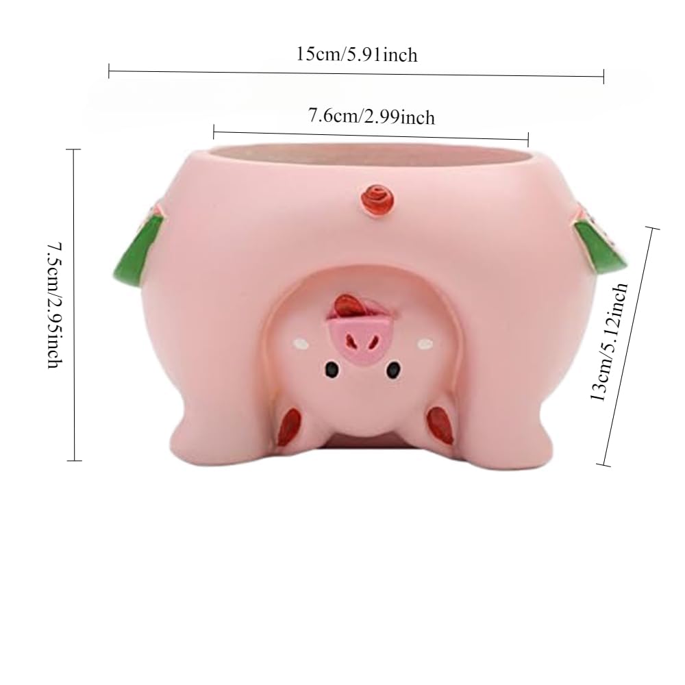 Youfui succulent planter with mini plants ideal for desks.