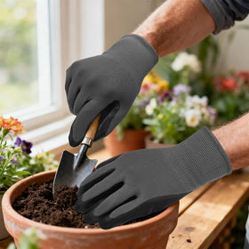 YOUKE OLA packaging includes 120 pairs for daily use
