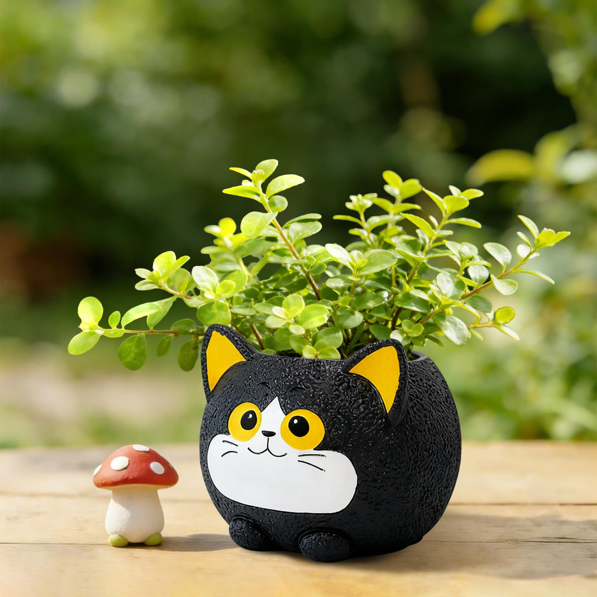 YOUOIVIA cat planter with drainage hole promotes healthy indoor plants