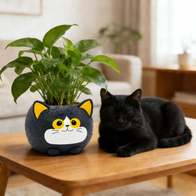 YOUOIVIA durable resin planter is lightweight and easy to clean