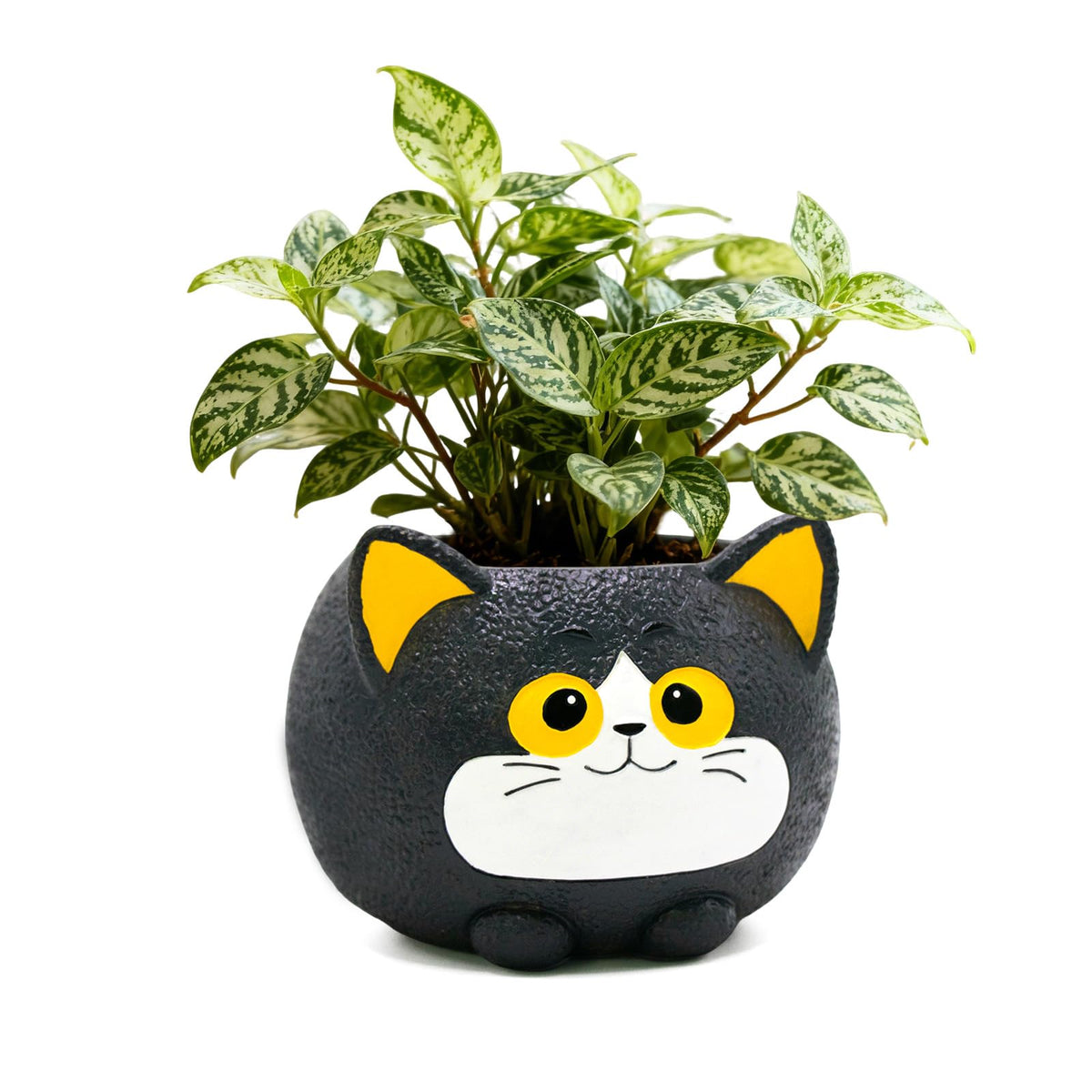 YOUOIVIA whimsical black cat face planter adds playful charm to desks and shelves