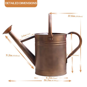 Yourjoy galvanized-metal watering can shown in use as décor or planter for stylish gardens.
