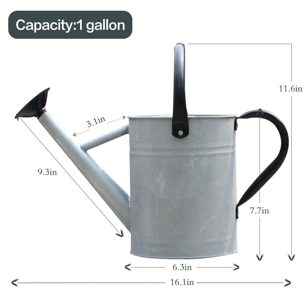 yourjoy metal watering can silver finish decorative and durable