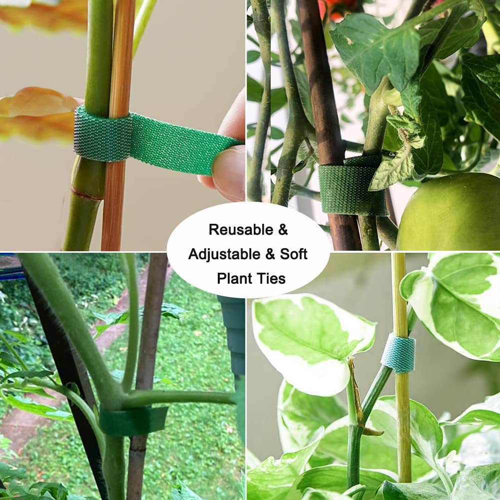 Yowlieu bamboo stakes inserted into soil provide sturdy support.