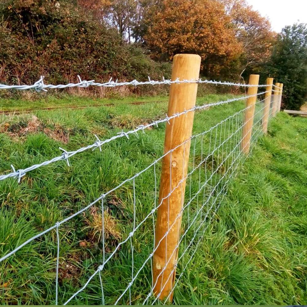 Yowlieu barbed wire protecting bird feeders and garden entries