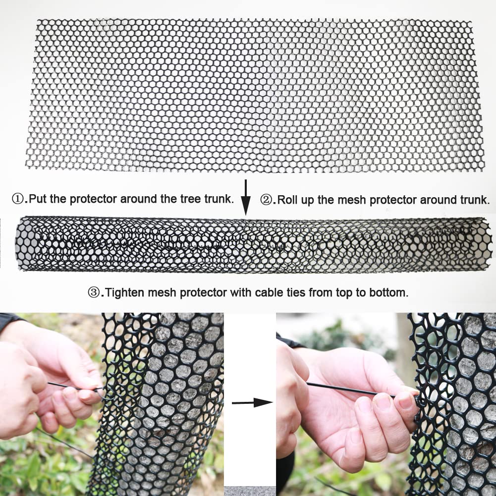 Yowlieu breathable mesh promotes air flow around saplings.
