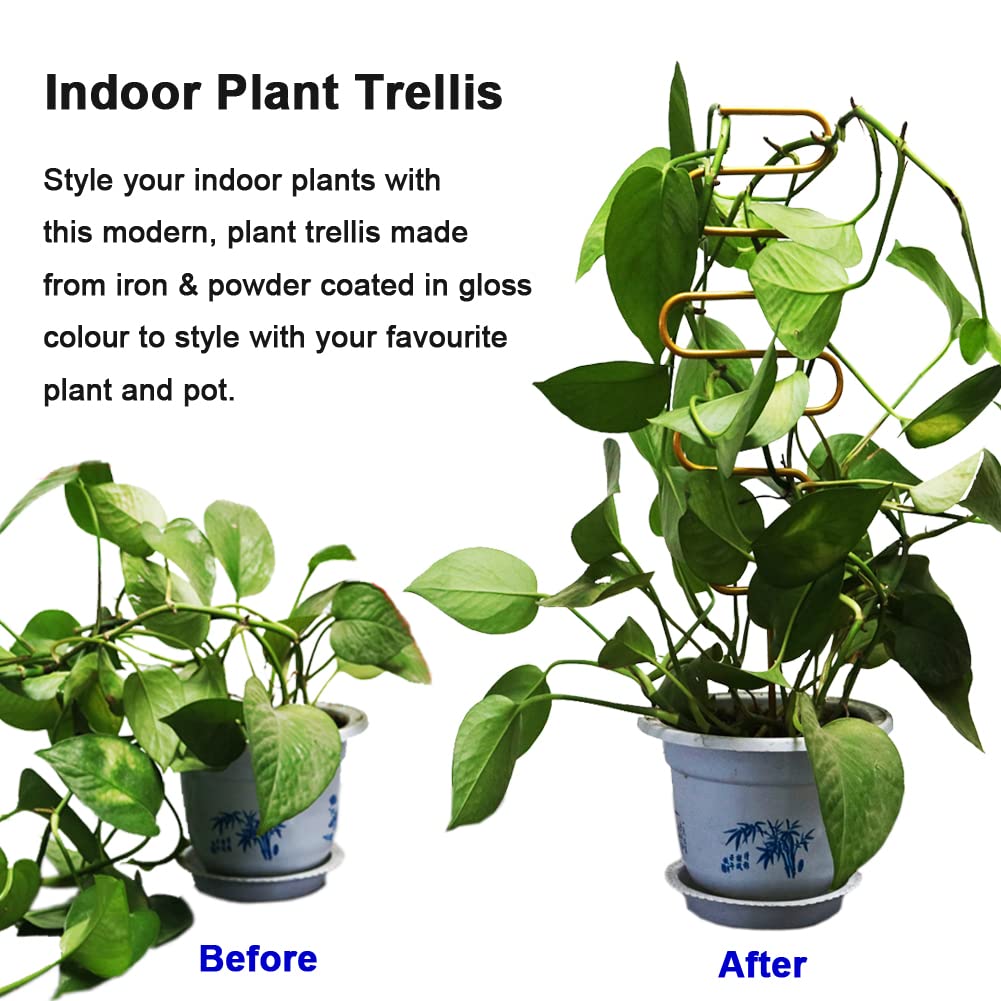 Each Yowlieu trellis stands 13.3 inches tall and 4 inches wide for 5–8 inch pots.