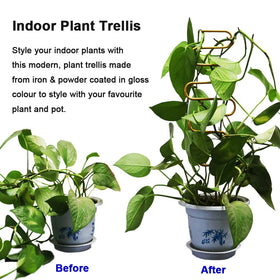 Each Yowlieu trellis stands 13.3 inches tall and 4 inches wide for 5–8 inch pots.