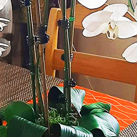 Yowlieu reusable garden stakes for multiple seasons.