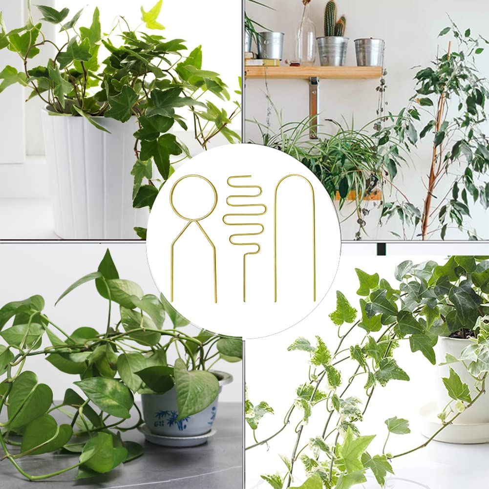 Perfect for heartleaf philodendron, pothos, monstera, and more.