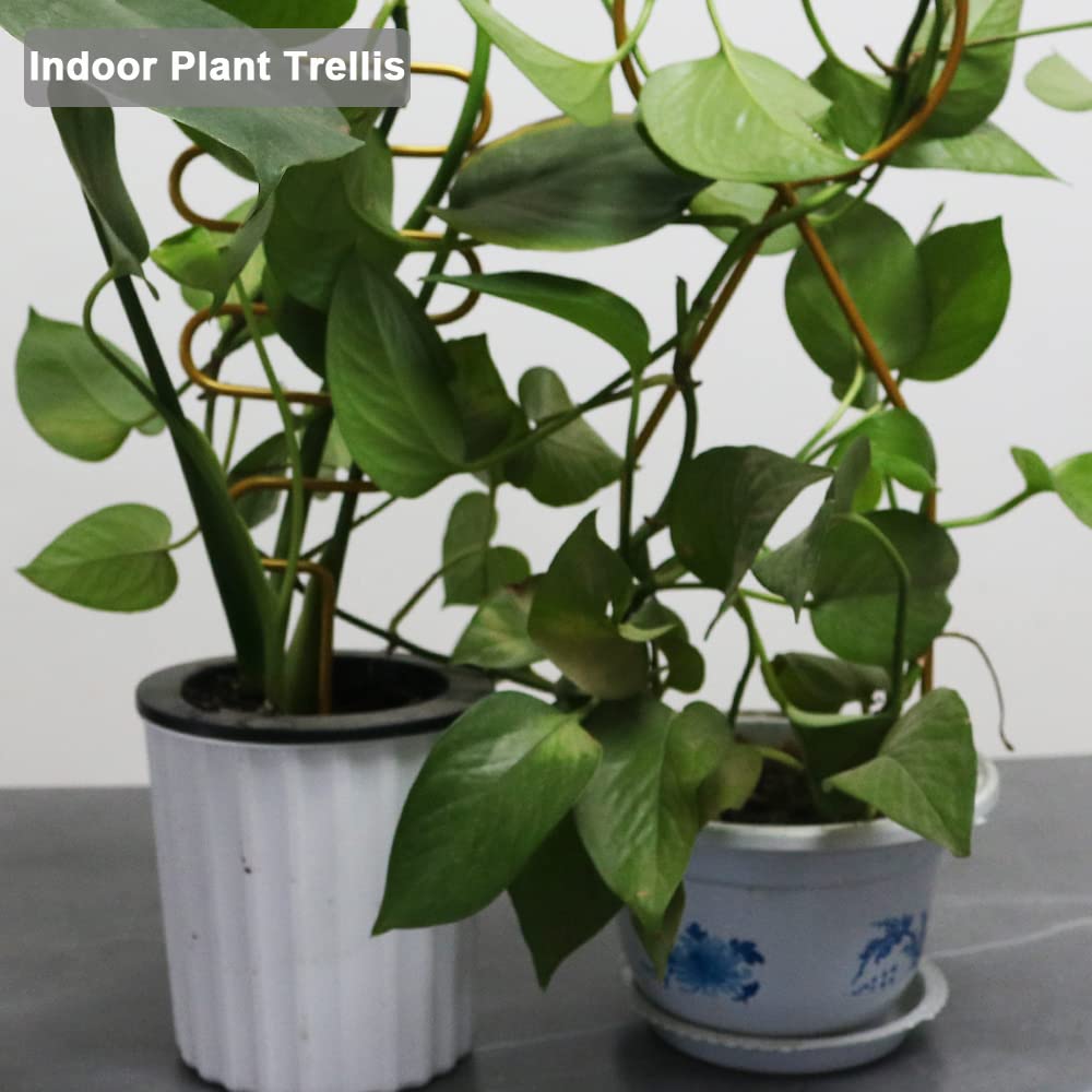 Rustproof gold coating makes Yowlieu trellises suitable for indoor and outdoor use.