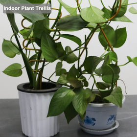 Rustproof gold coating makes Yowlieu trellises suitable for indoor and outdoor use.