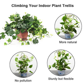 Stable load-bearing design helps climbing plants stay upright.