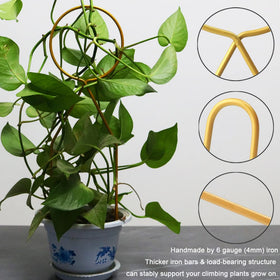 Yowlieu handcrafted iron trellis with rustproof coating supports stems without crowding.