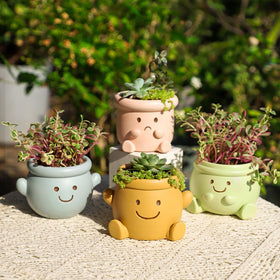 YOYLMAL compact desktop planter ideal for small succulents