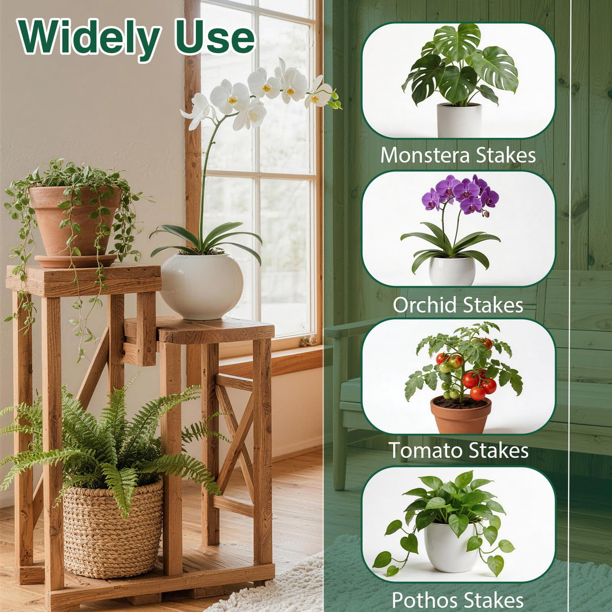 YOYOKIT durable green stake blends with foliage while providing solid support