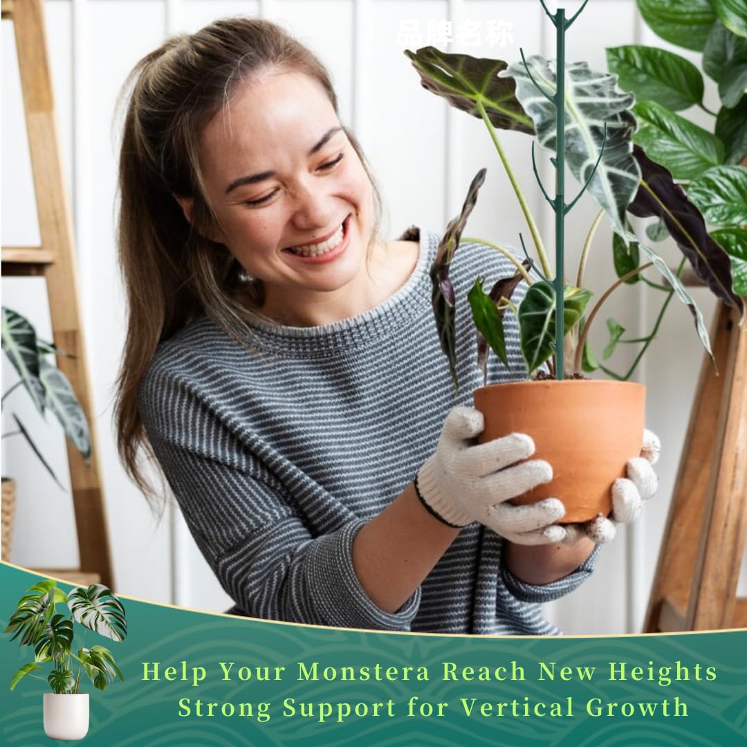 YOYOKIT natural-looking green stakes enhance display without distraction