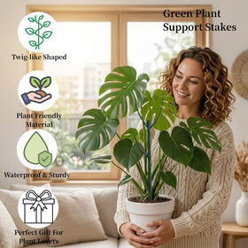 YOYOKIT stackable stake supporting fern fronds with neat, balanced look